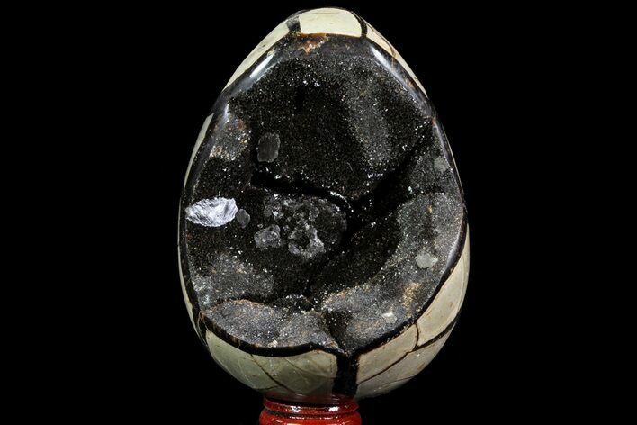 Septarian Dragon Egg Geode - Black Crystals #72002